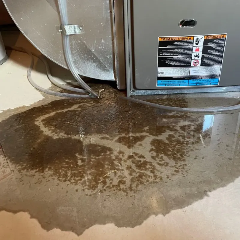 Pipe Burst and Leak Restoration in Beaver County, OK