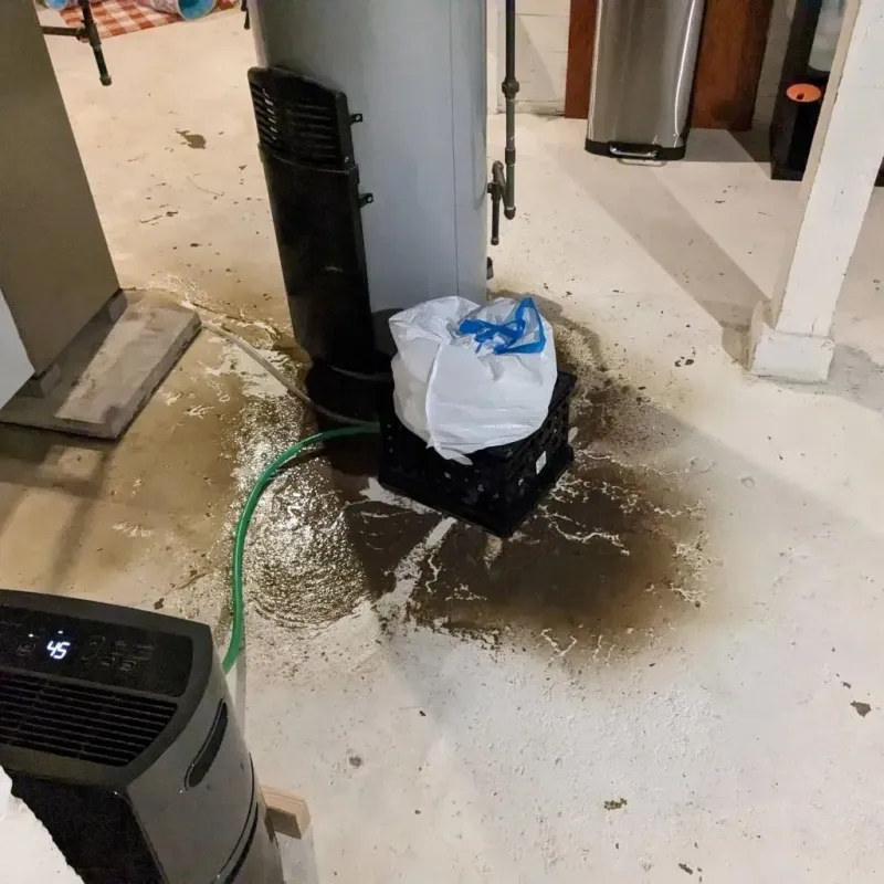 Sewage Backup Cleanup Service in Beaver County, OK